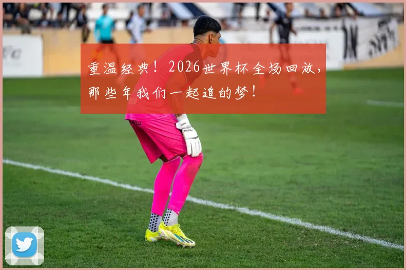 重温经典！2026世界杯全场回放，那些年我们一起追的梦！