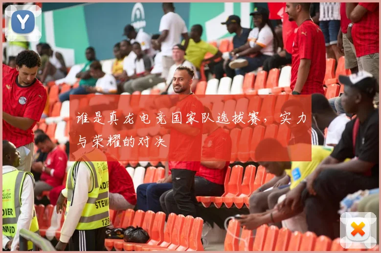 谁是真龙电竞国家队选拔赛，实力与荣耀的对决